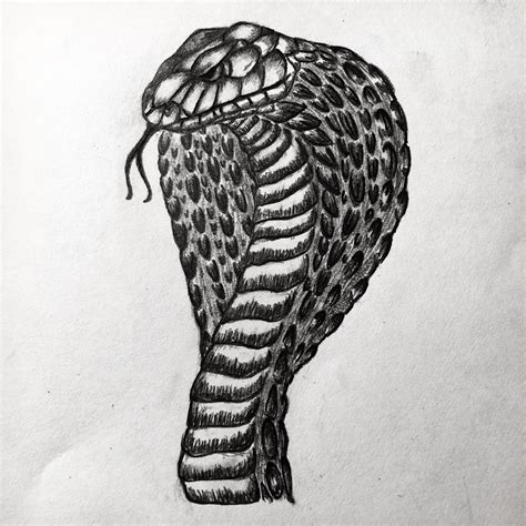 Trying to learn how to draw reptiles realistically, heres a cobra that ...