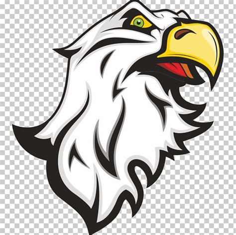 Eagle PNG, Clipart, Angry, Animals, Bald Eagle, Beak, Bird Free PNG ...