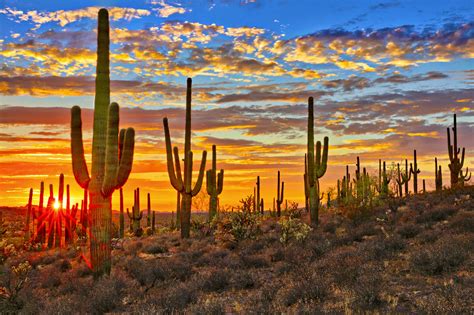 Under the radar USA: Tucson is more than its cactus – Lonely Planet