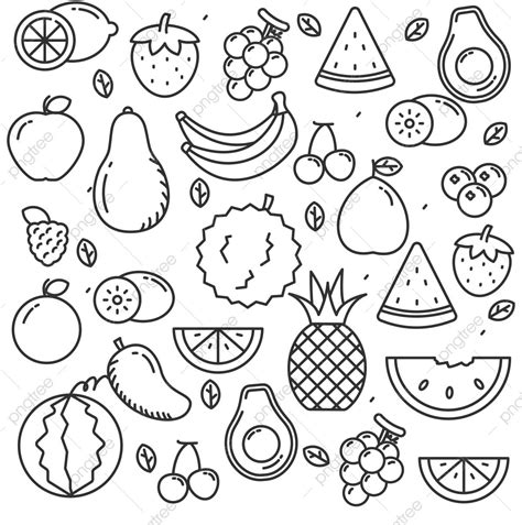 Hand Drawn Doodle Fruit Set Of Fruit Vector Illustration With Cute Line ...