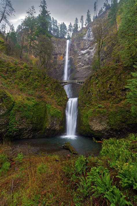 Multnomah Falls in Columbia River Gorge Photograph by David Gn - Pixels