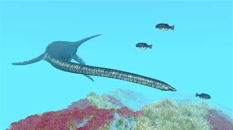 Elasmosaurus Facts for Kids