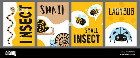 Yellow poster designs with funny insects Stock Vector Image & Art - Alamy