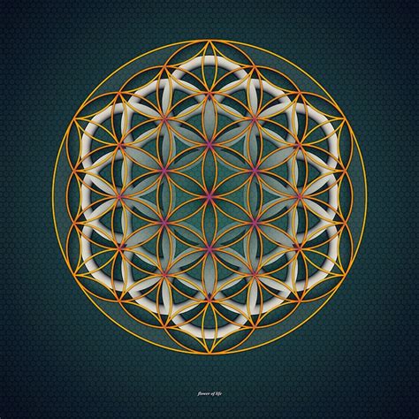 2226 best Flower of Life & Sacred Geometry images on Pinterest | Sacred geometry, Flower of life ...