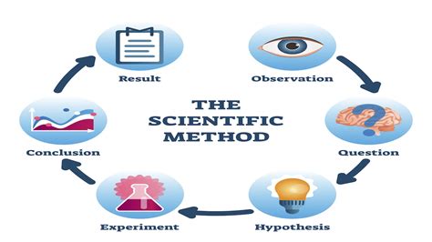 What are the 7 scientific method steps?