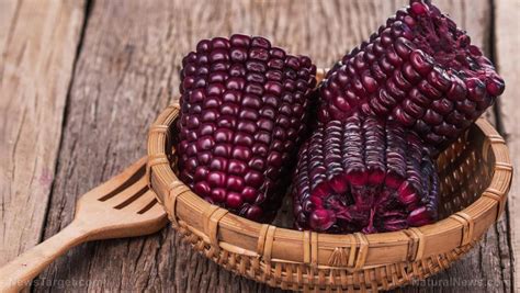 Purple corn is an ancient superfood that can fight diabetes and obesity – NaturalNews.com