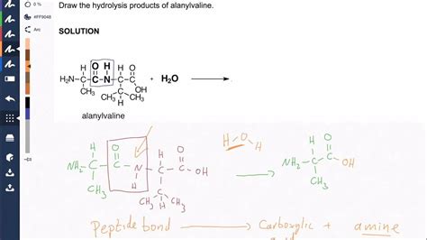 The Peptide Bond Hydrolysis: Protein Chemistry Video - YouTube