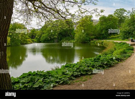 Ørstedsparken, Copenhagen, Denmark Stock Photo - Alamy