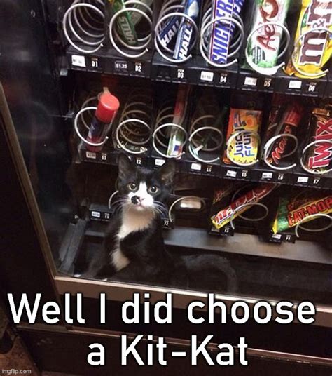 Kit kat - Meme by MEME68767234677 :) Memedroid