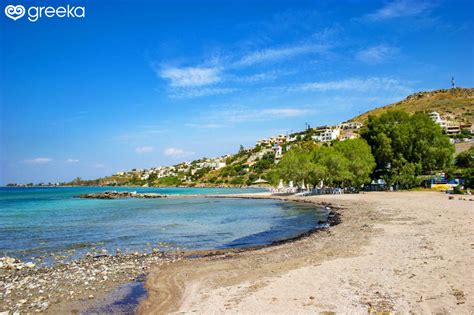 Best 10+ Beaches in Aegina, Greece | Greeka