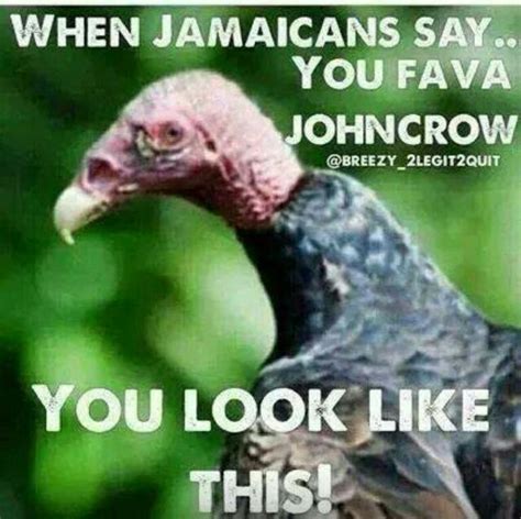 52 best Jamaican Sayings images on Pinterest | Proverbs quotes ...