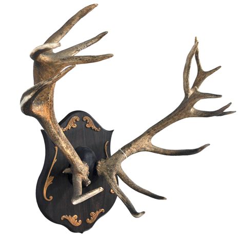 Red Stag Antlers - Taxidermy Mounts for Sale and Taxidermy Trophies for Sale!