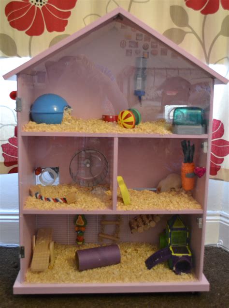 Hamster House Diy