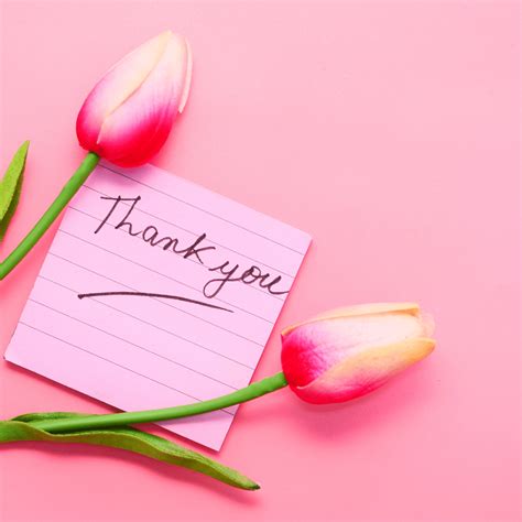 50 Simple Appreciation Messages to Express Your Gratitude