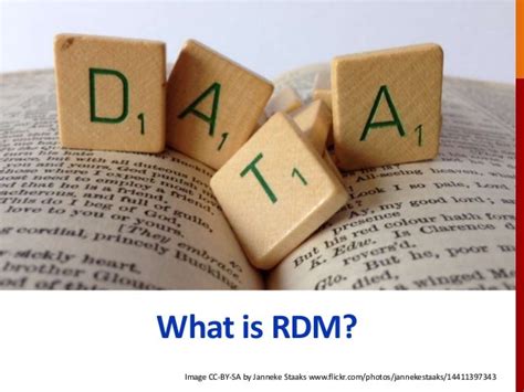 Rdm Meaning