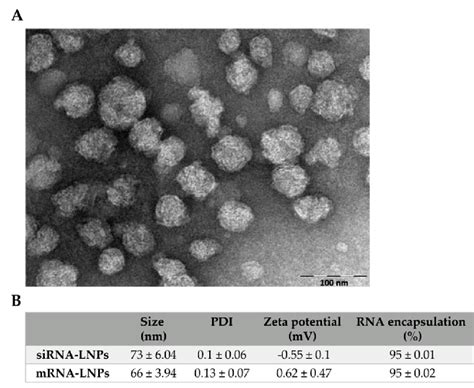 Physicochemical and structural characterization of lipid nanoparticles... | Download Scientific ...