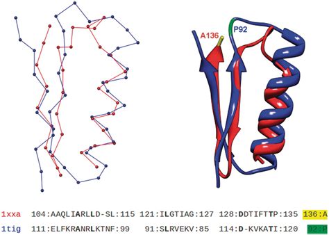 The structural alignment of two topologically different yet ...