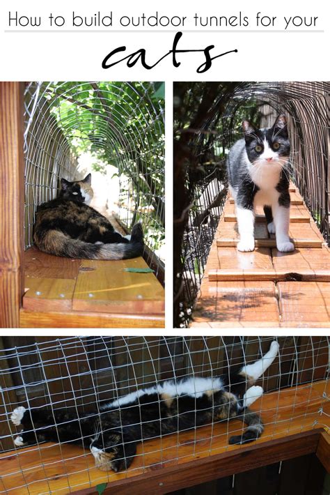 How to build an outdoor cat tunnel - Cuckoo4Design