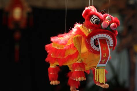 Lion Dance A Significant Tradition of Chinese Culture - Kulture Kween