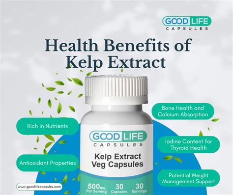 Health Benefits of Kelp Extract - Good Life Capsules