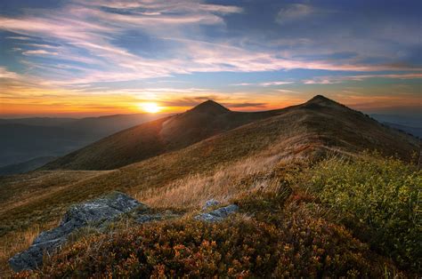 BEST of nature in Poland - The Walking Parrot