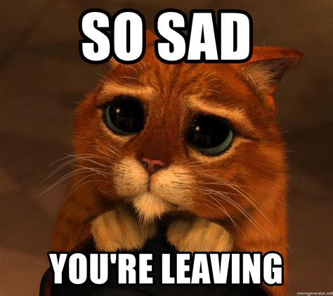 Sad Your Coworker Is Leaving Meme - All About Cow Photos