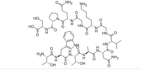 Enzyme Molecule Structure