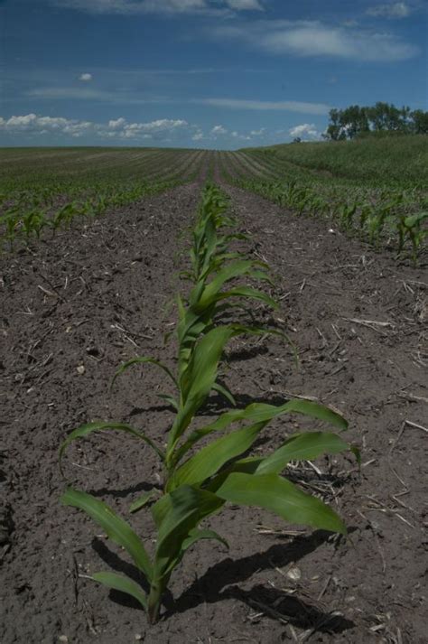 Why Tillage Erosion Is Bigger Than Wind and Water Erosion | Successful Farming