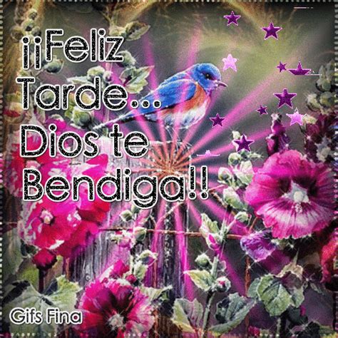 Feliz Tarde... Dios te Bendiga!! | Dios te bendiga, Te amo como eres ...