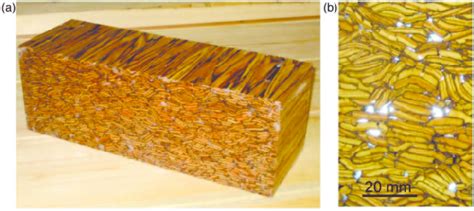 (a) Small sample of PSL (Parallel Strand Lumber) beam and (b) PSL... | Download Scientific Diagram