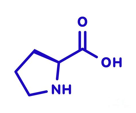 Proline Amino Acid Molecule Photograph by Molekuul/science Photo ...