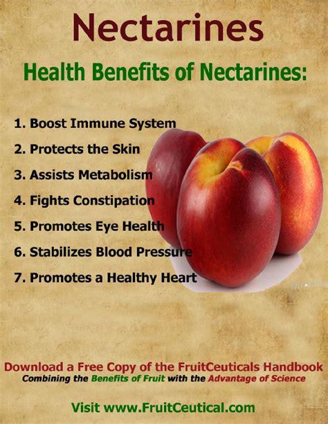 Health Benefits Nectarine Fruit - health benefits