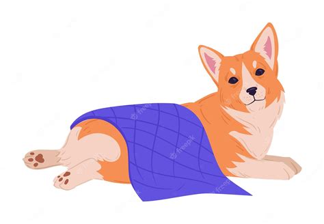 Premium Vector | Corgi dog cartoon cute resting corgi pet happy domestic pedigree puppy flat ...