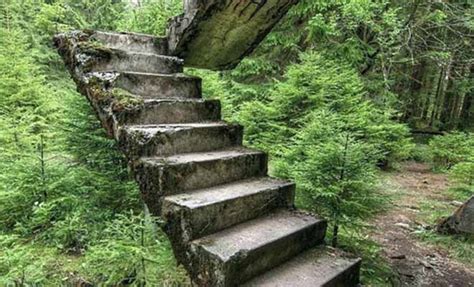 Stairs In The Woods Phenomenon Explained With Details & List