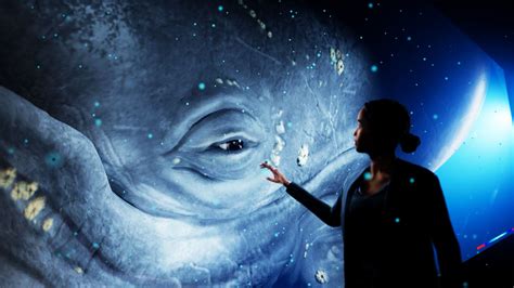 World's First Hologram Zoo on Display in Australia - TOMORROW’S WORLD ...