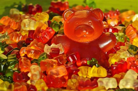 Giant Rubber Bear Gummibär - Free photo on Pixabay