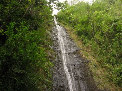 Exploring the Manoa Valley on Oahu, Hawaii