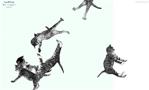 Cat Bounce, A Website of Bouncing Cats