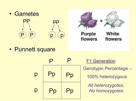 Heredity - YouTube