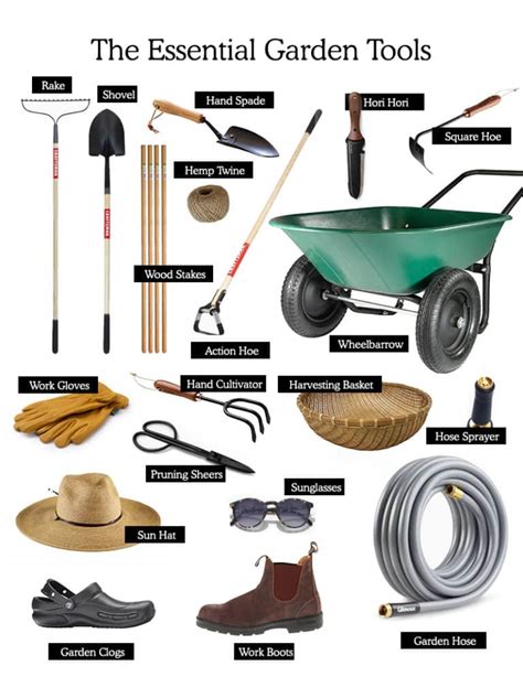 Essential Garden Tools for the Home Gardener | Fresh Exchange