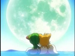 Tails + Cosmo ~ Sonic X - Miles "Tails" Prower Image (29936700) - Fanpop