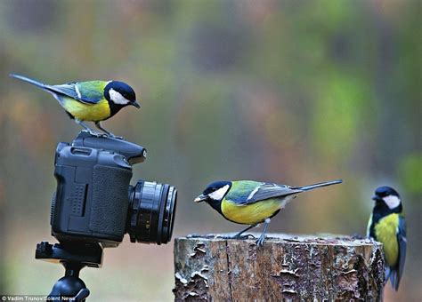 Wildlife Trusts call for photo competition entries | Discover Animals