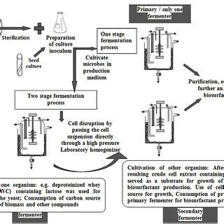 | Pictorial representation for one stage and two stage fermentation... | Download Scientific Diagram