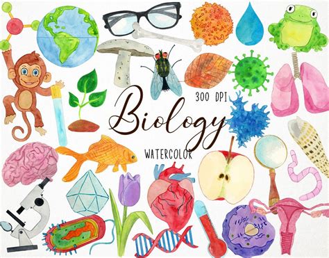 Biology Clip Art Slides