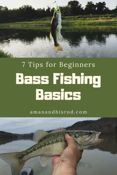 Top 10 bass fishing tips ideas and inspiration