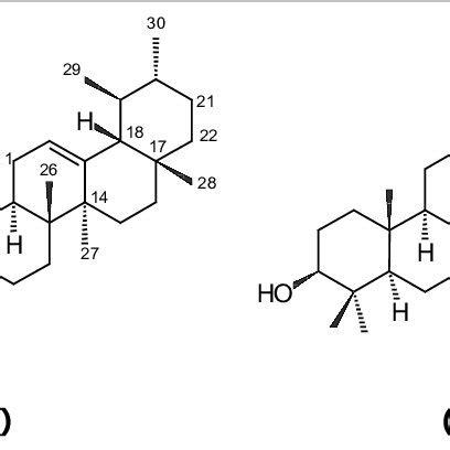 Chemical structure of a-amyrin (A) and b-amyrin (B). | Download ...