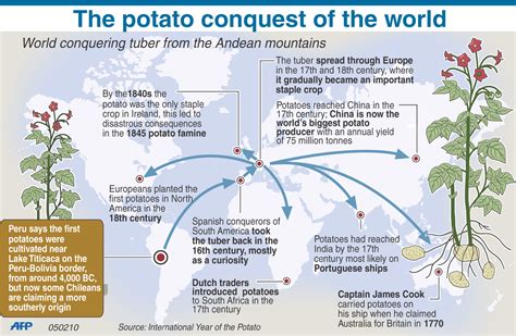 BilingüeSauces: Spread of the potato