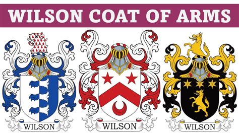 Wilson Coat of Arms & Family Crest - Symbols, Bearers, History - YouTube