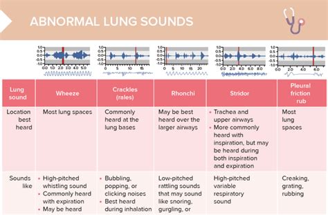 Lecturio Nursing Cheat Sheet