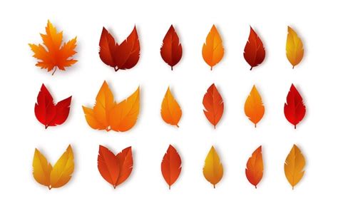 Premium Vector | Set of fall leaves autumn foliage isolated on white ...